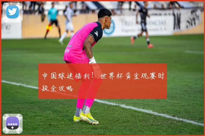 中国球迷福利！世界杯黄金观赛时段全攻略