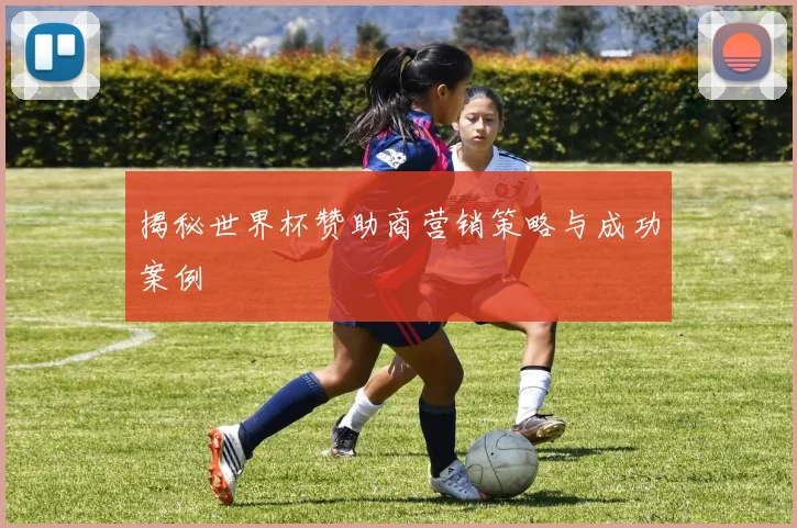 揭秘世界杯赞助商营销策略与成功案例