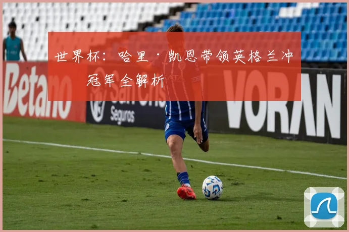世界杯：哈里·凯恩带领英格兰冲击冠军全解析